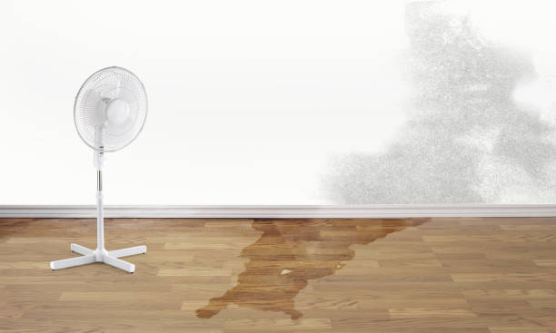 Carpet water damage restoration in CA