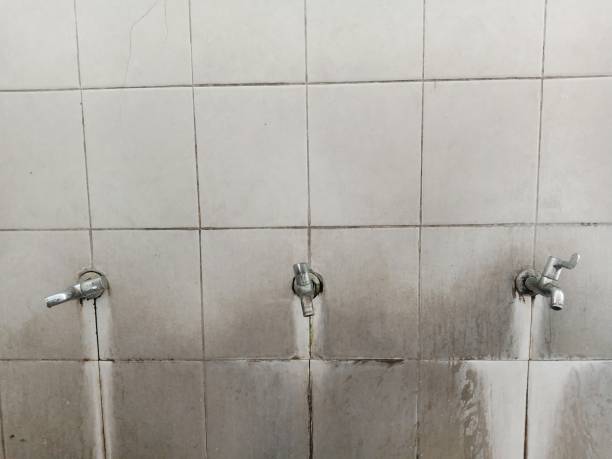 Best Mold removal after water damage  in Scotts Valley, CA