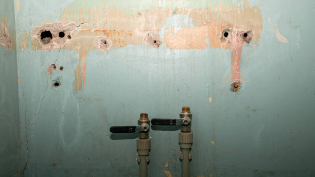 Best Local water damage restoration  in Scotts Valley, CA